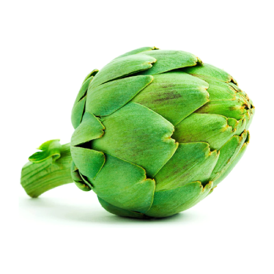 Artichoke