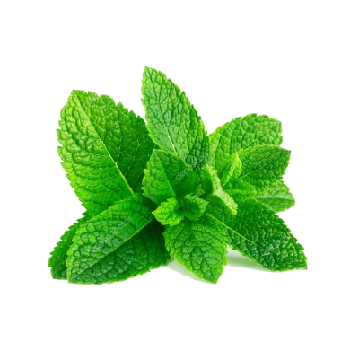 Mint Leaf