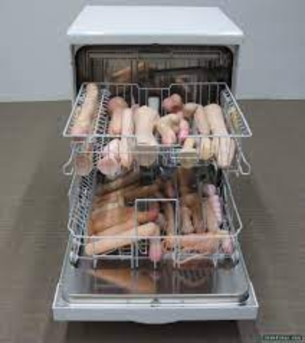 Dishwasher Full of Dicks
