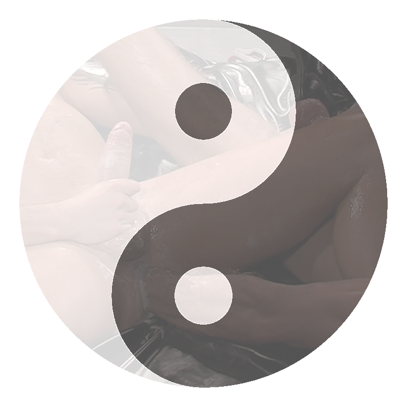 Fisting Ying Yang